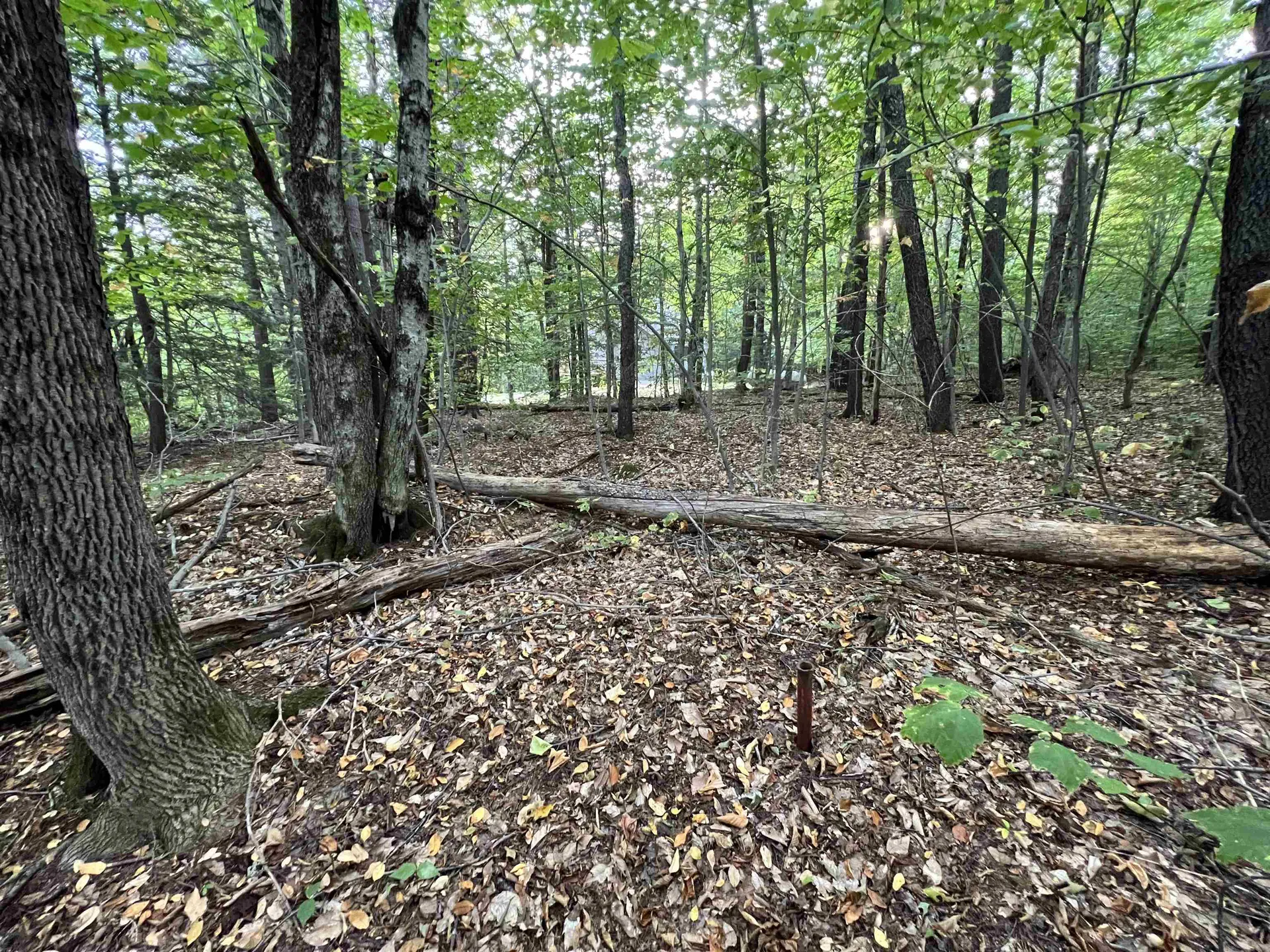 Oak Hill Road Wardsboro VT 05355