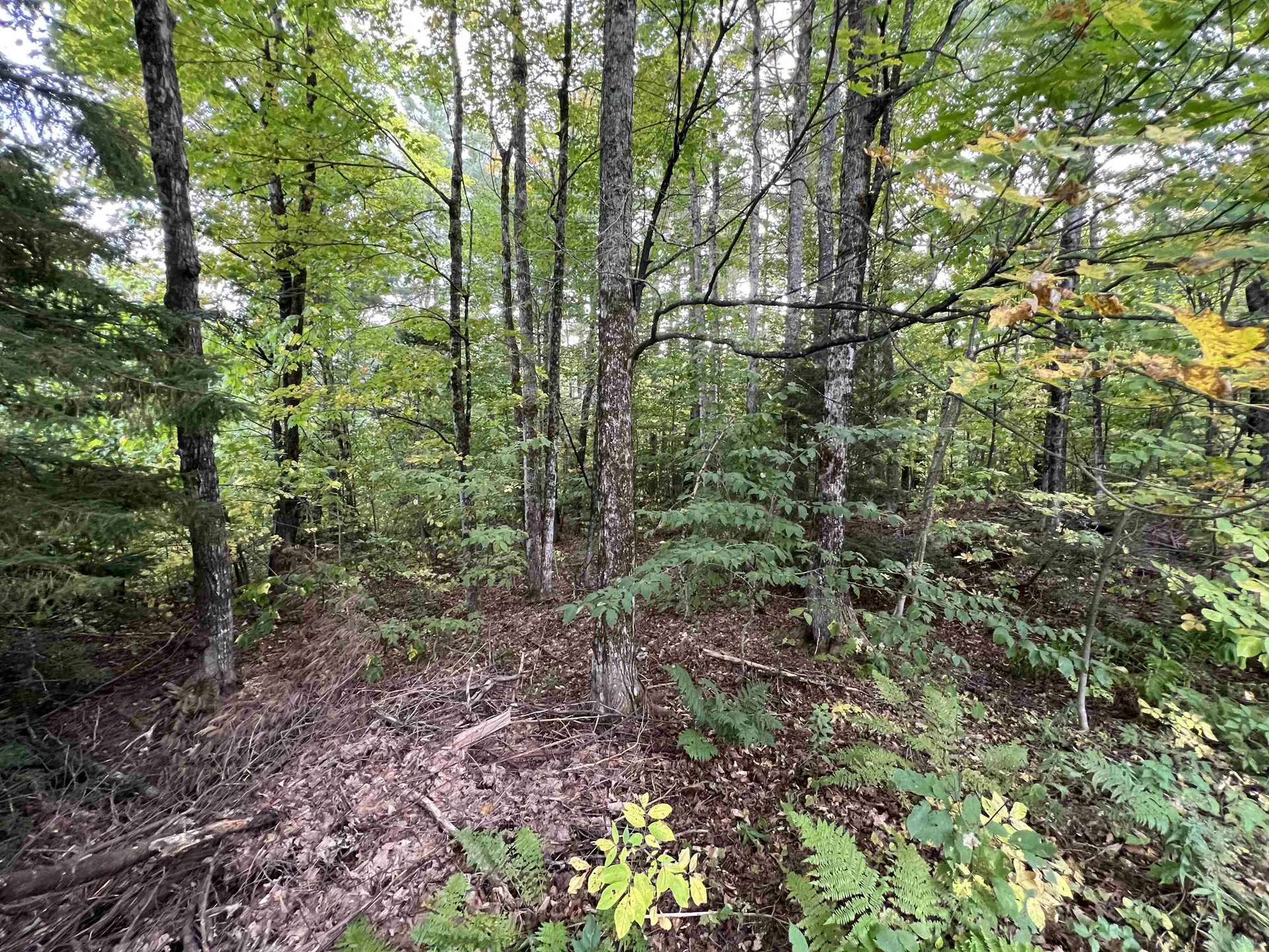 Oak Hill Road Wardsboro VT 05355