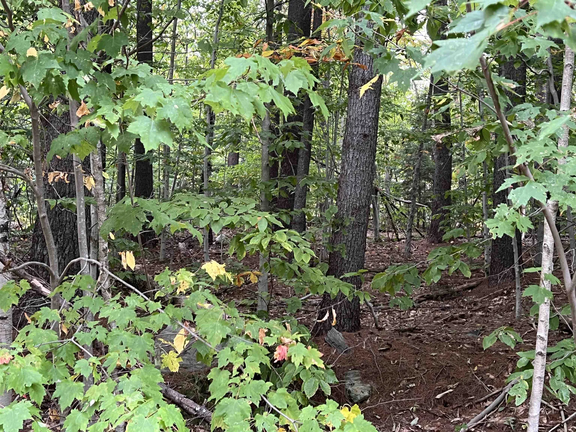 Oak Hill Road Wardsboro VT 05355