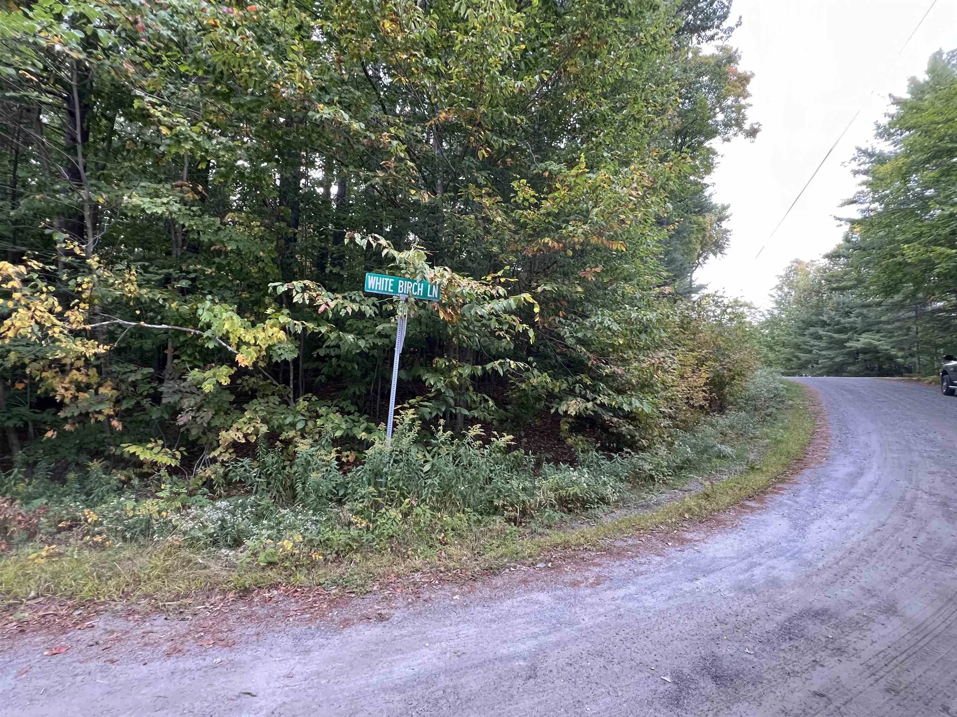 Oak Hill Road Wardsboro VT 05355