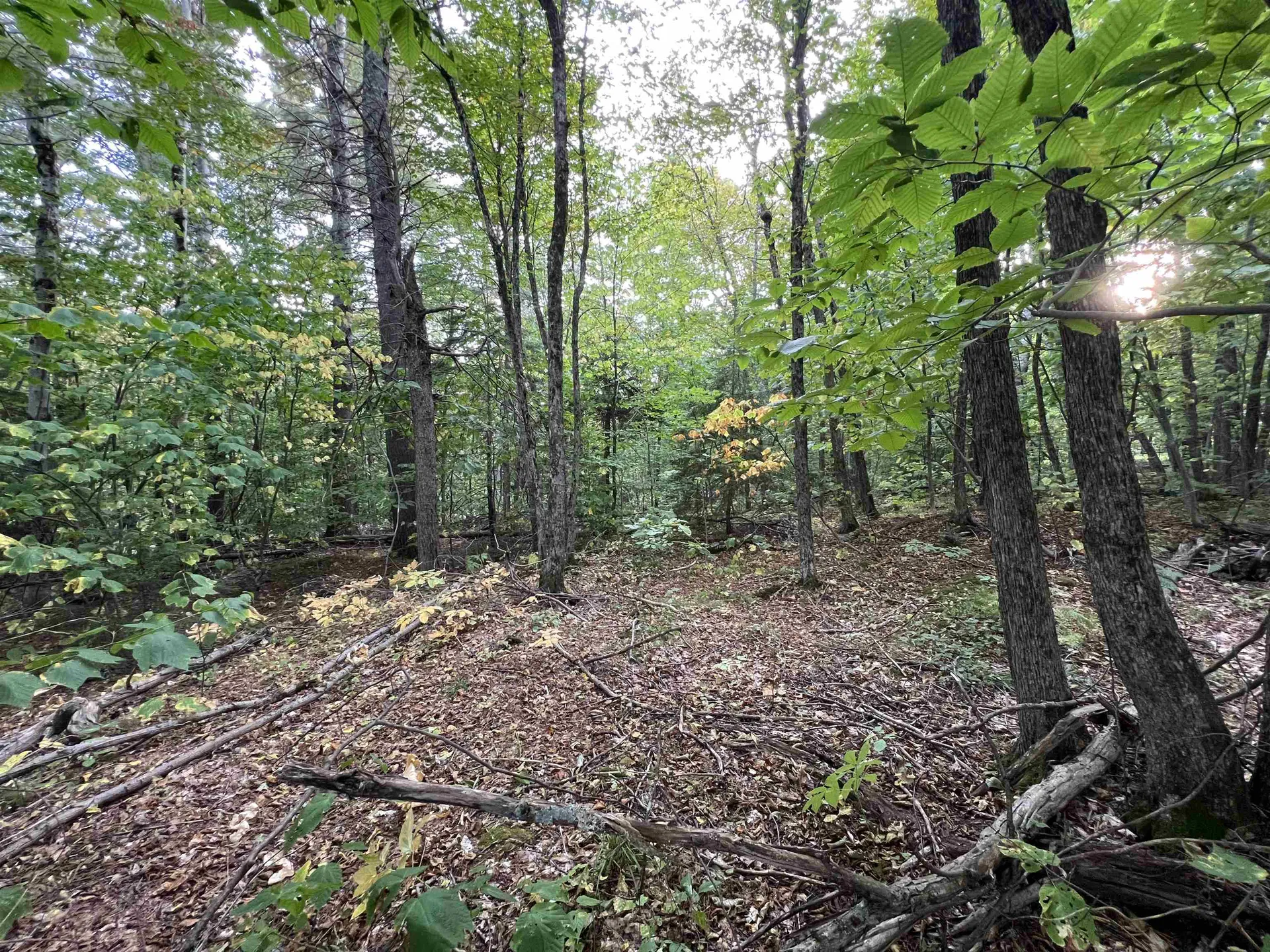 Oak Hill Road Wardsboro VT 05355