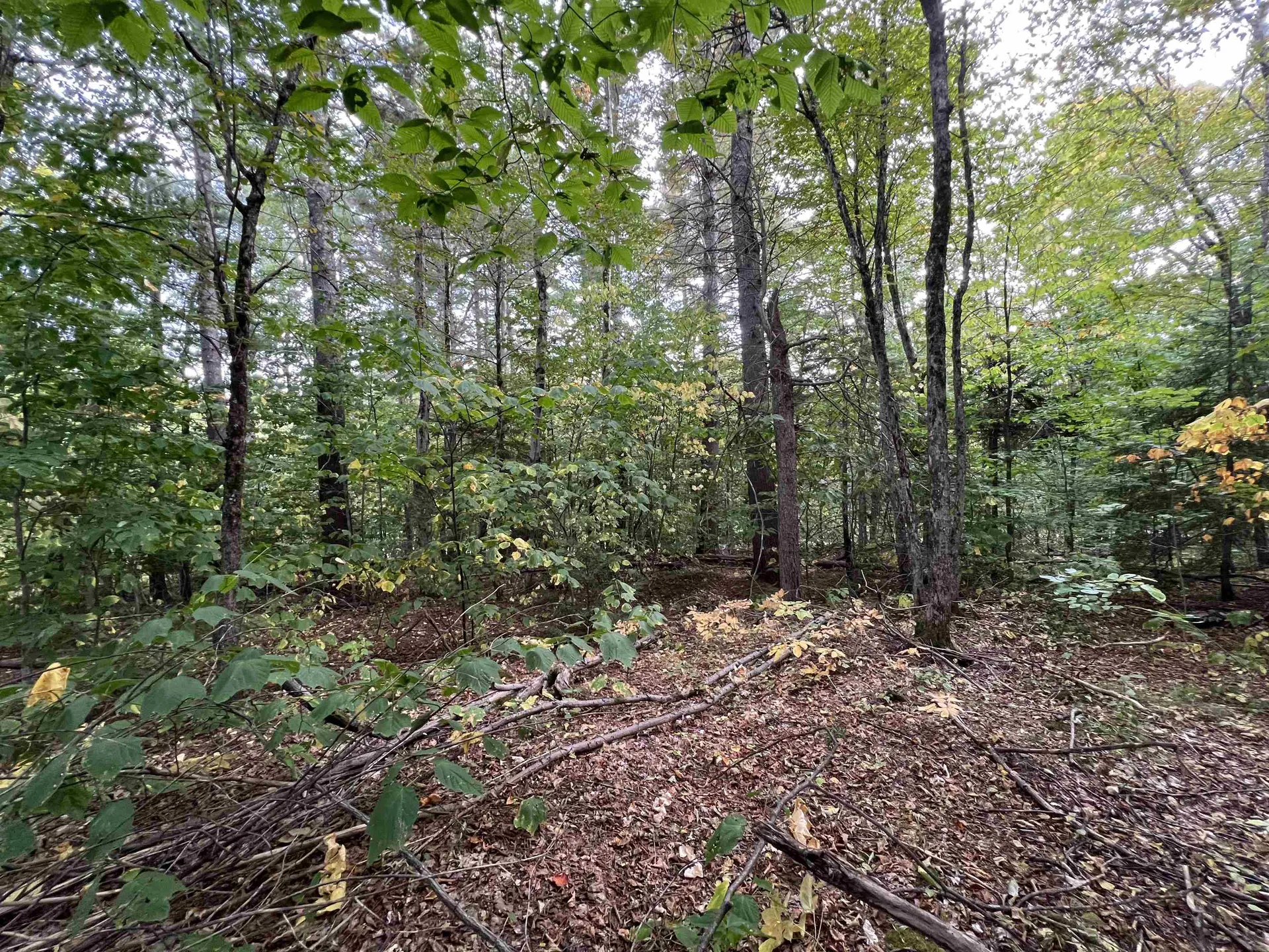 Oak Hill Road Wardsboro VT 05355