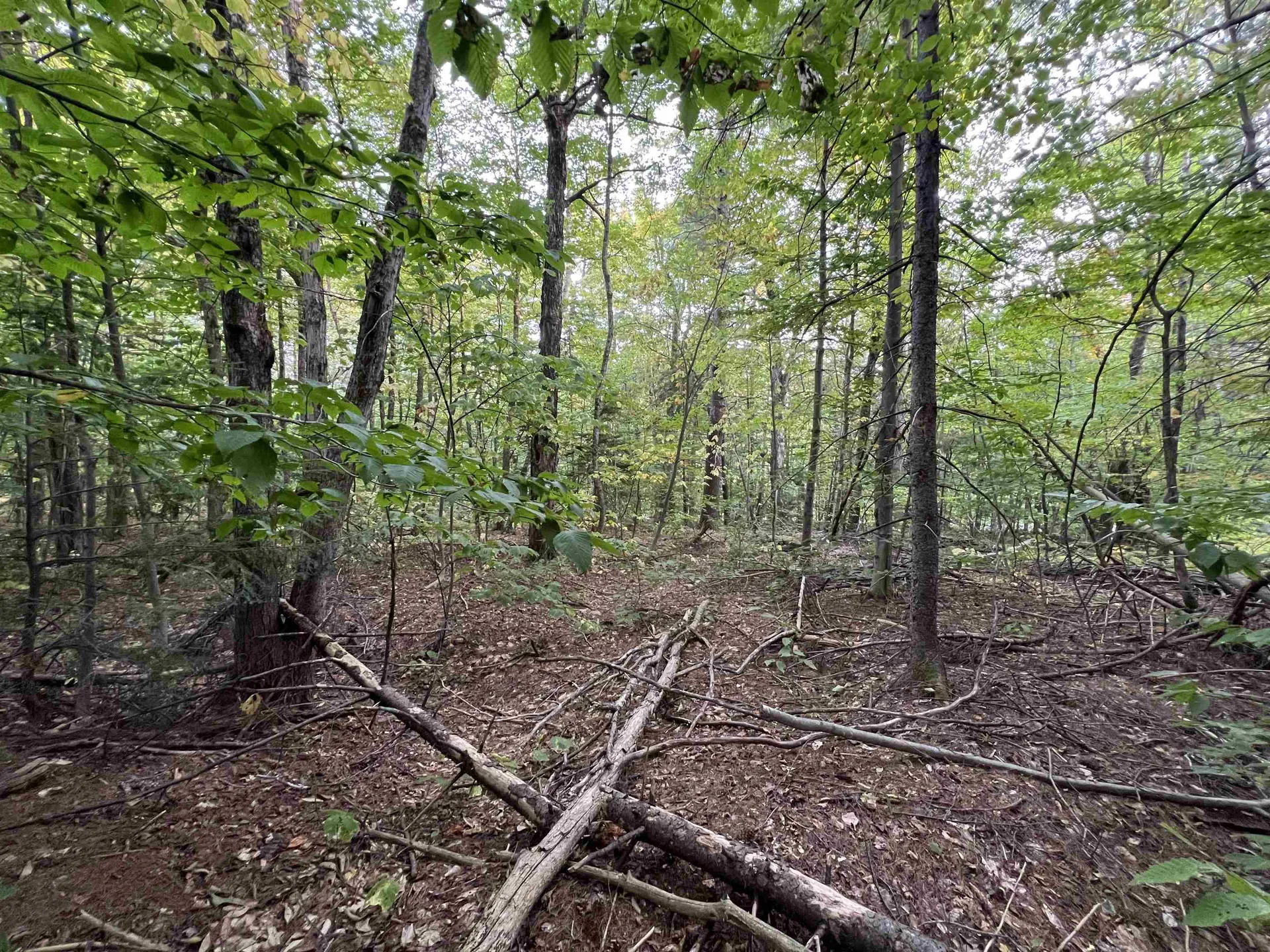 Oak Hill Road Wardsboro VT 05355