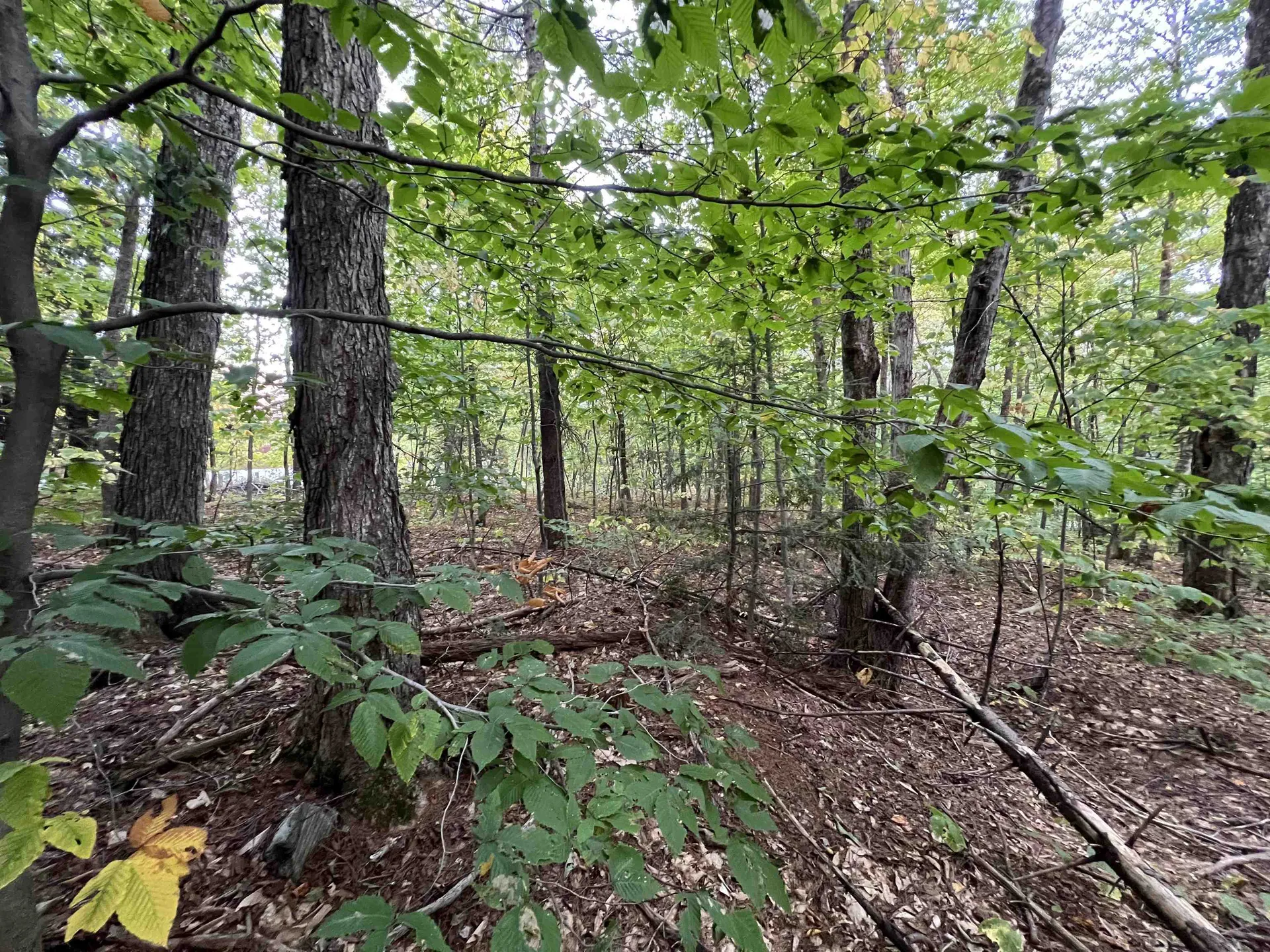 Oak Hill Road Wardsboro VT 05355