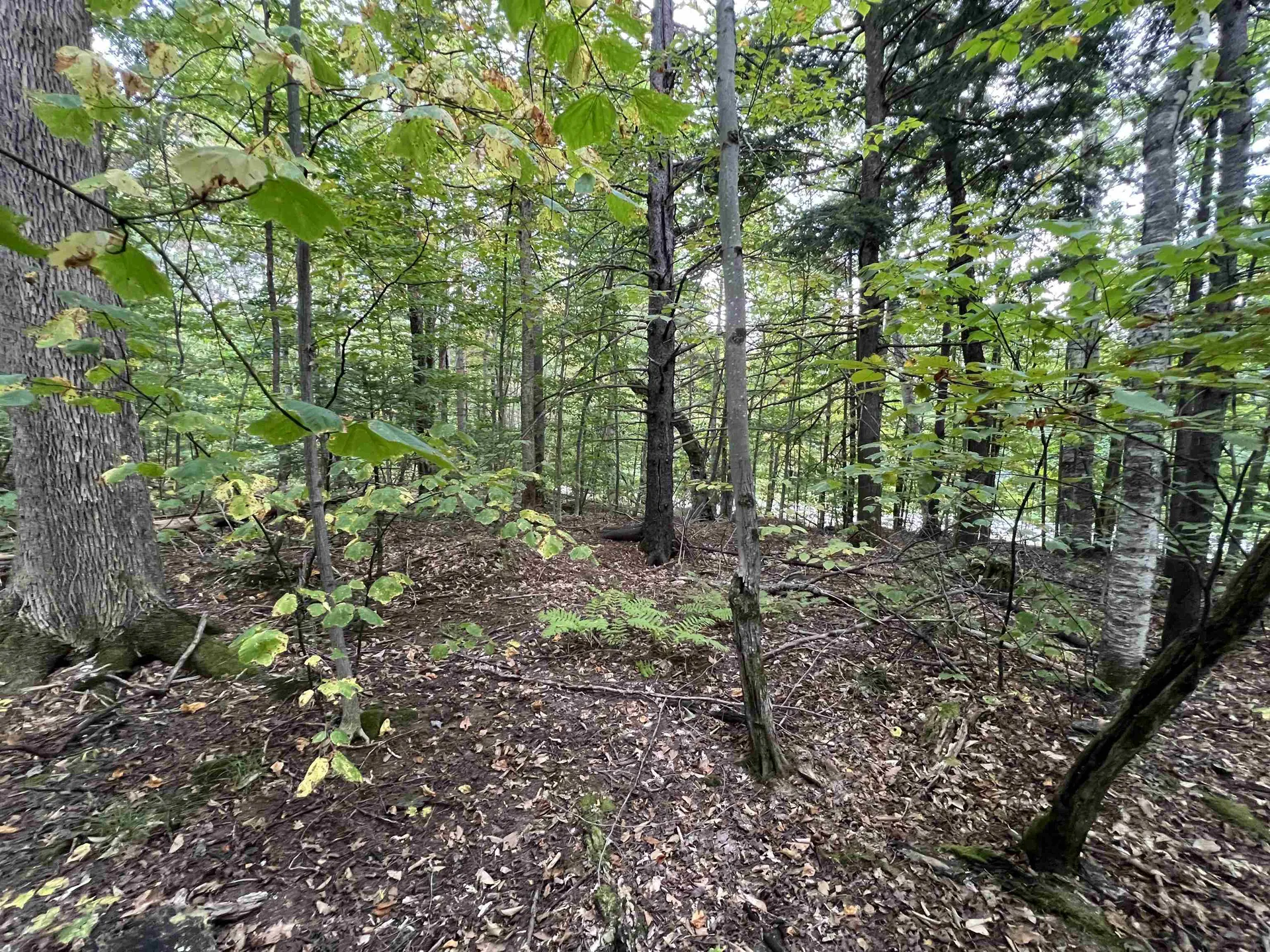 Oak Hill Road Wardsboro VT 05355