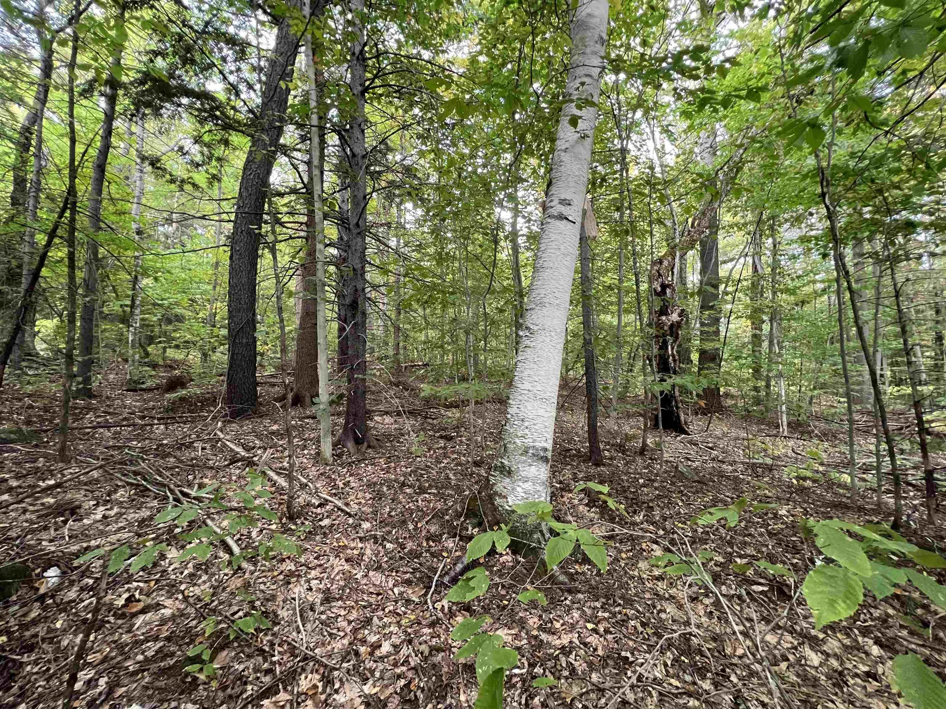 Oak Hill Road Wardsboro VT 05355