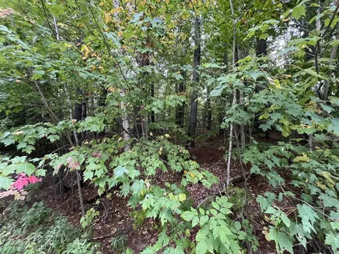 Oak Hill Road Wardsboro VT 05355