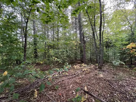 Oak Hill Road Wardsboro VT 05355