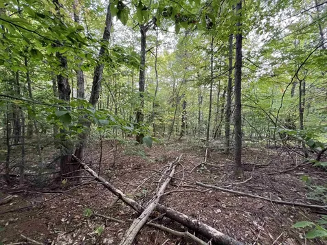 Oak Hill Road Wardsboro VT 05355