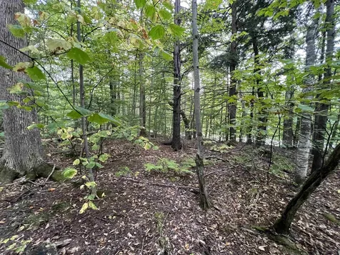 Oak Hill Road Wardsboro VT 05355