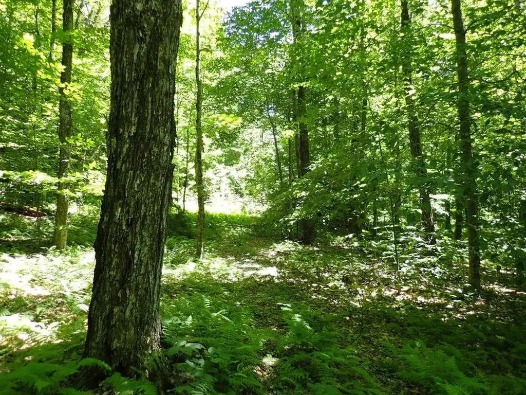 0 Green Mountain Road Bolton VT 05676