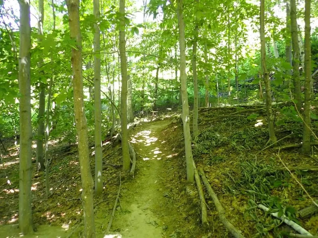 0 Green Mountain Road Bolton VT 05676