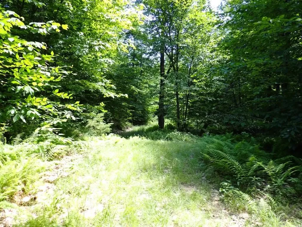 0 Green Mountain Road Bolton VT 05676