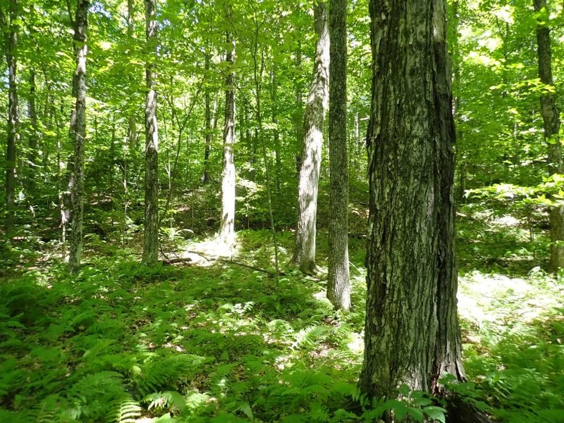 0 Green Mountain Road Bolton VT 05676