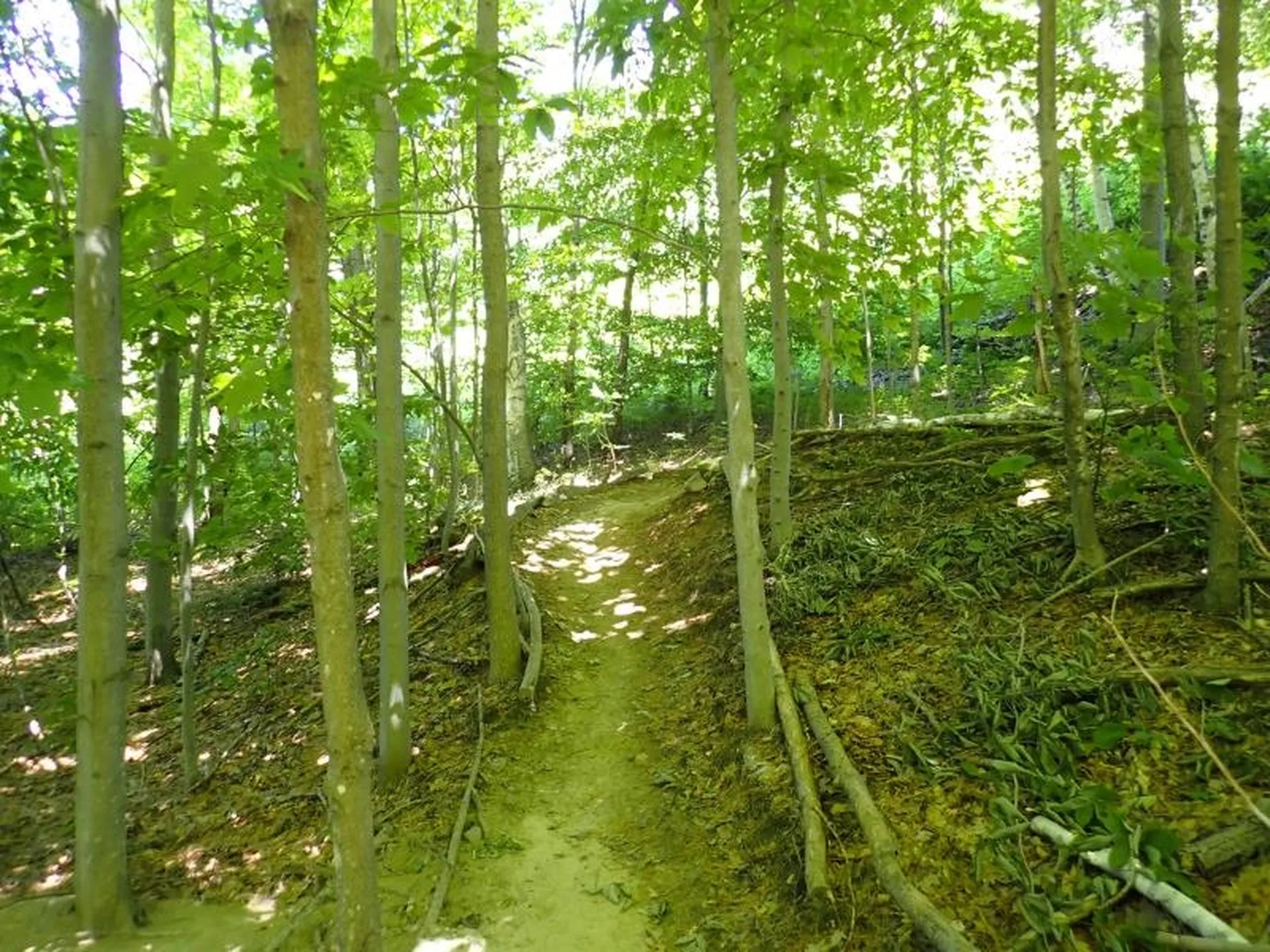 0 Green Mountain Road Bolton VT 05676