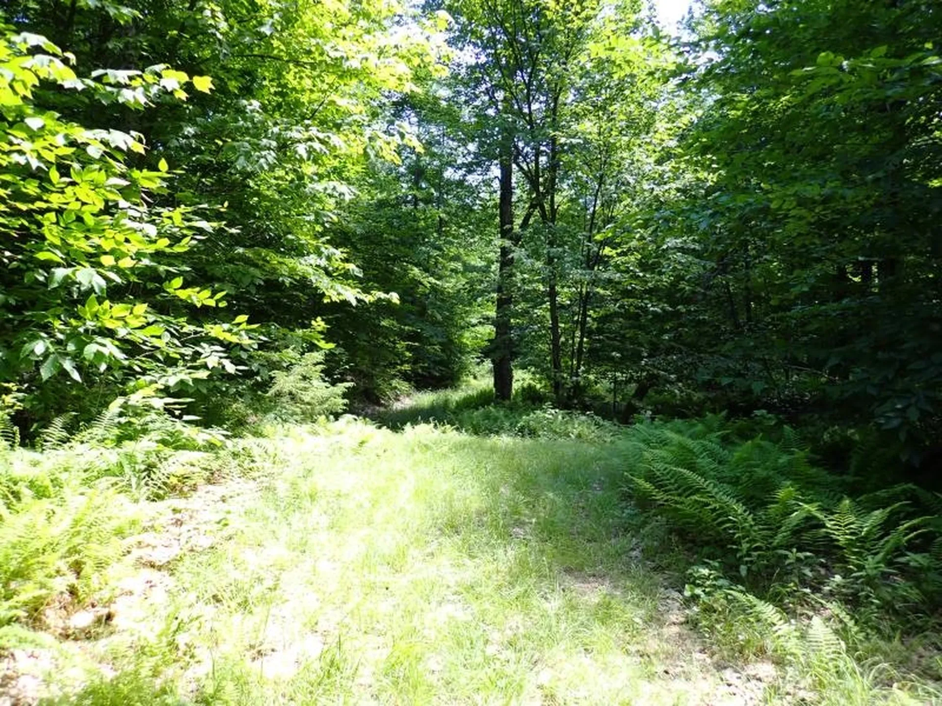 0 Green Mountain Road Bolton VT 05676