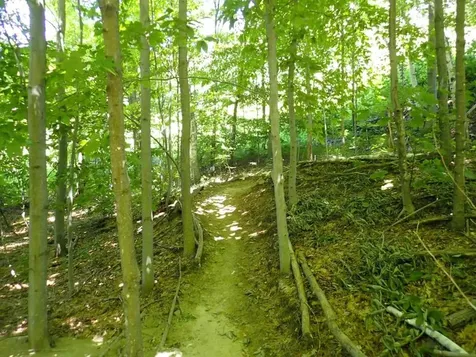 0 Green Mountain Road Bolton VT 05676