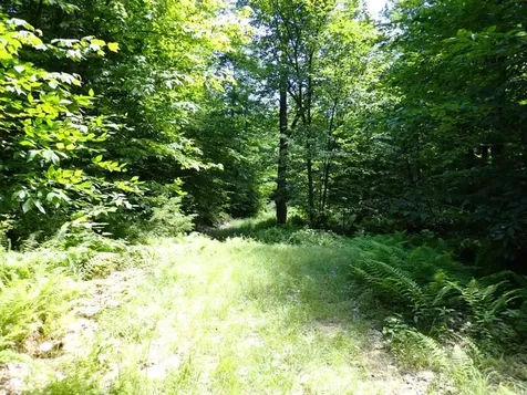 0 Green Mountain Road Bolton VT 05676