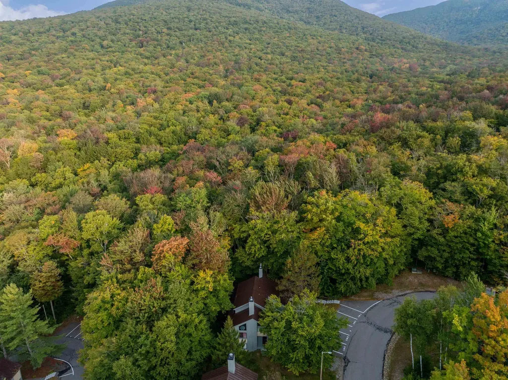 119 Clearbrook Road Lincoln NH 03251