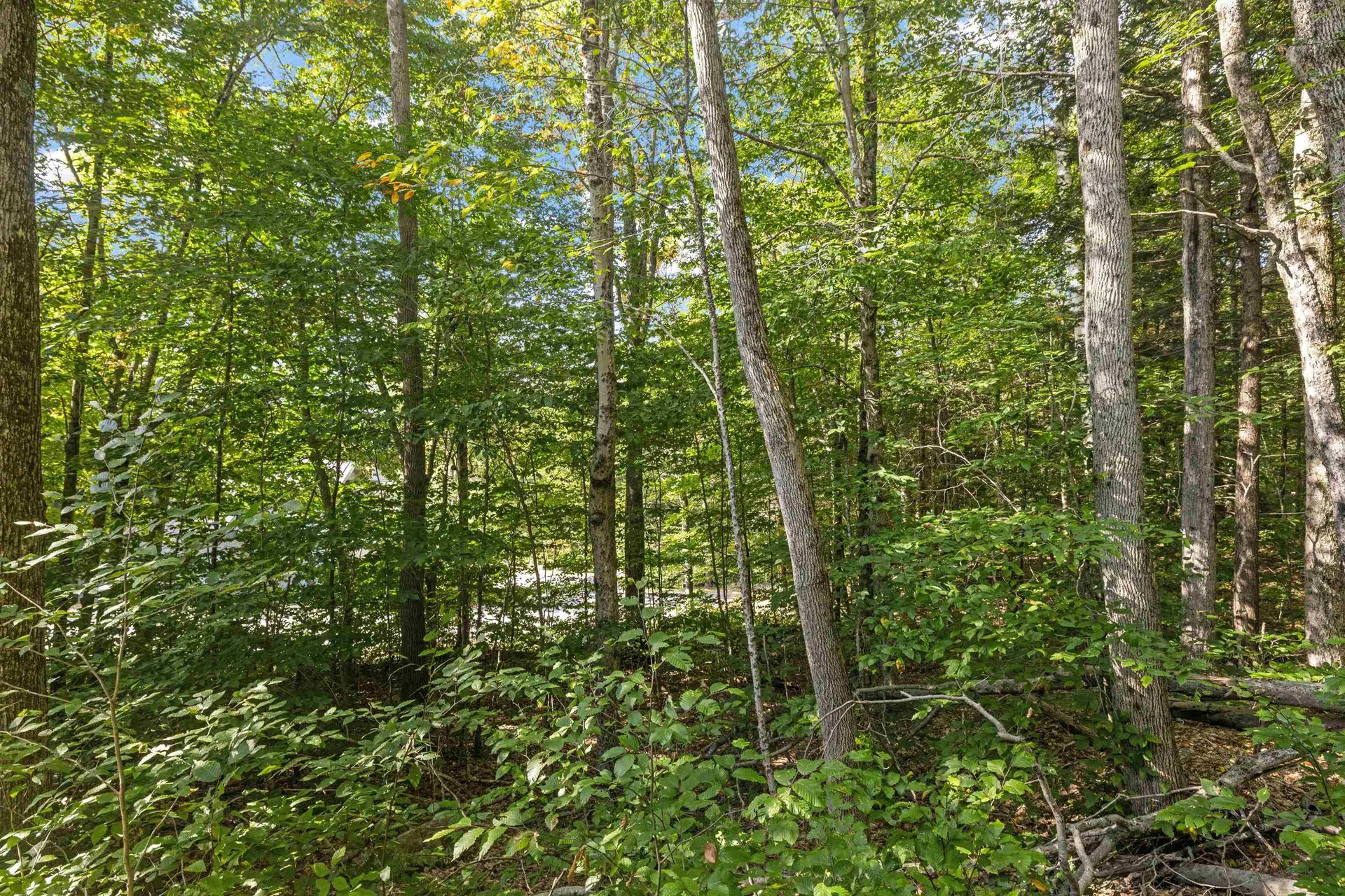 119 Clearbrook Road Lincoln NH 03251