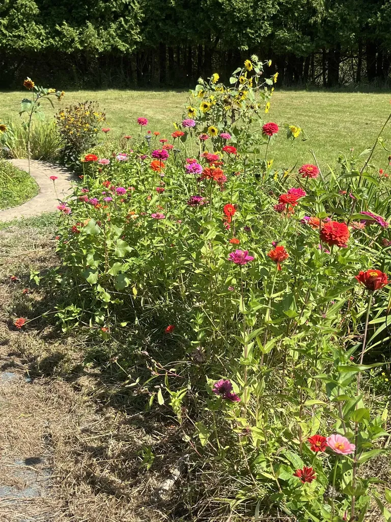 1 Taft Street Essex Junction VT 05452-0