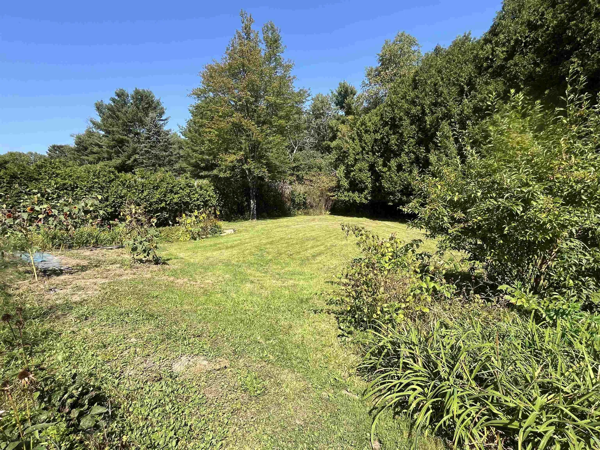 1 Taft Street Essex Junction VT 05452-0