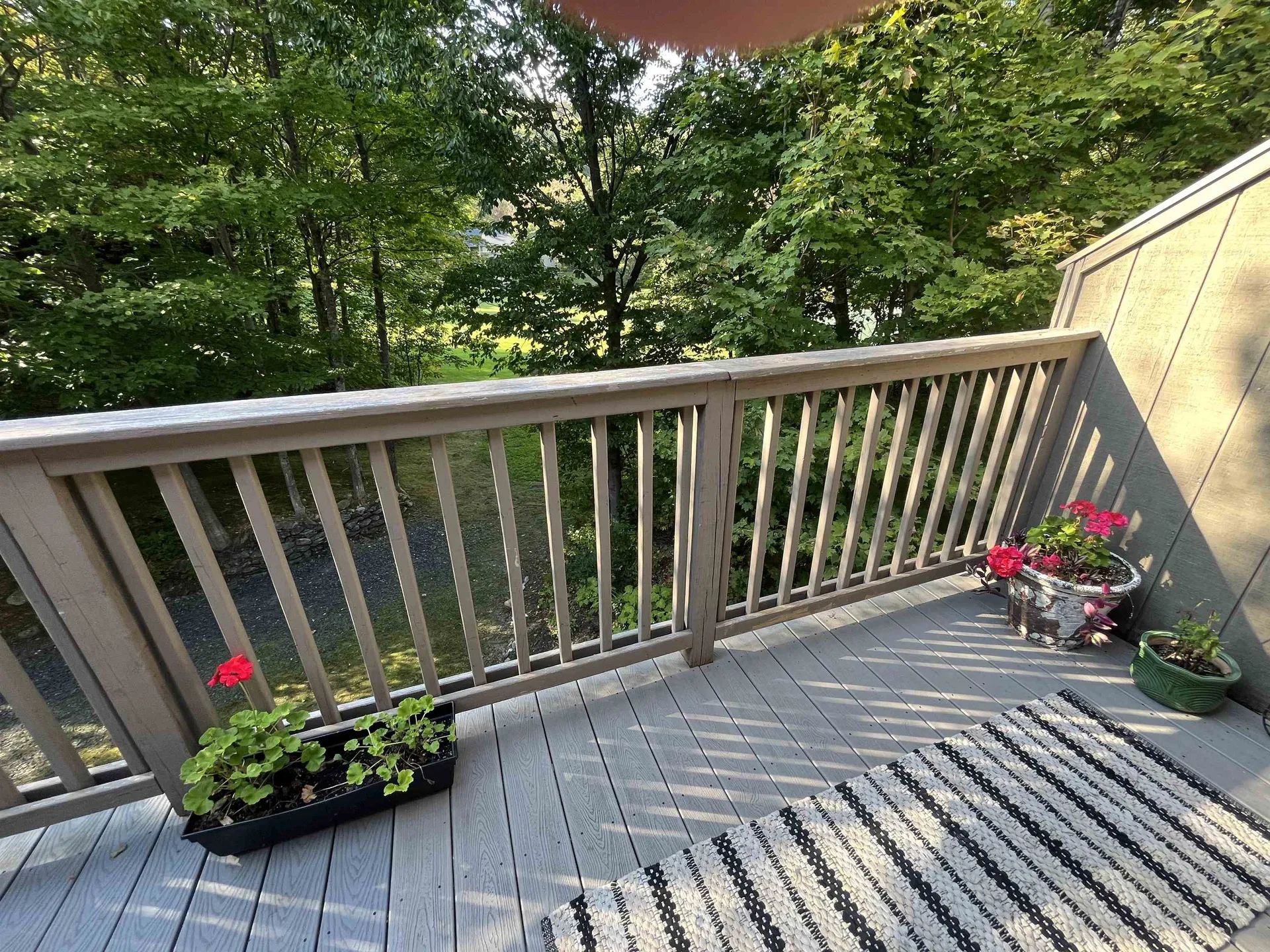 83 Drumleys South Road Warren VT 05674