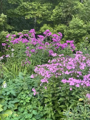 40 Gore Road Danville VT 05828