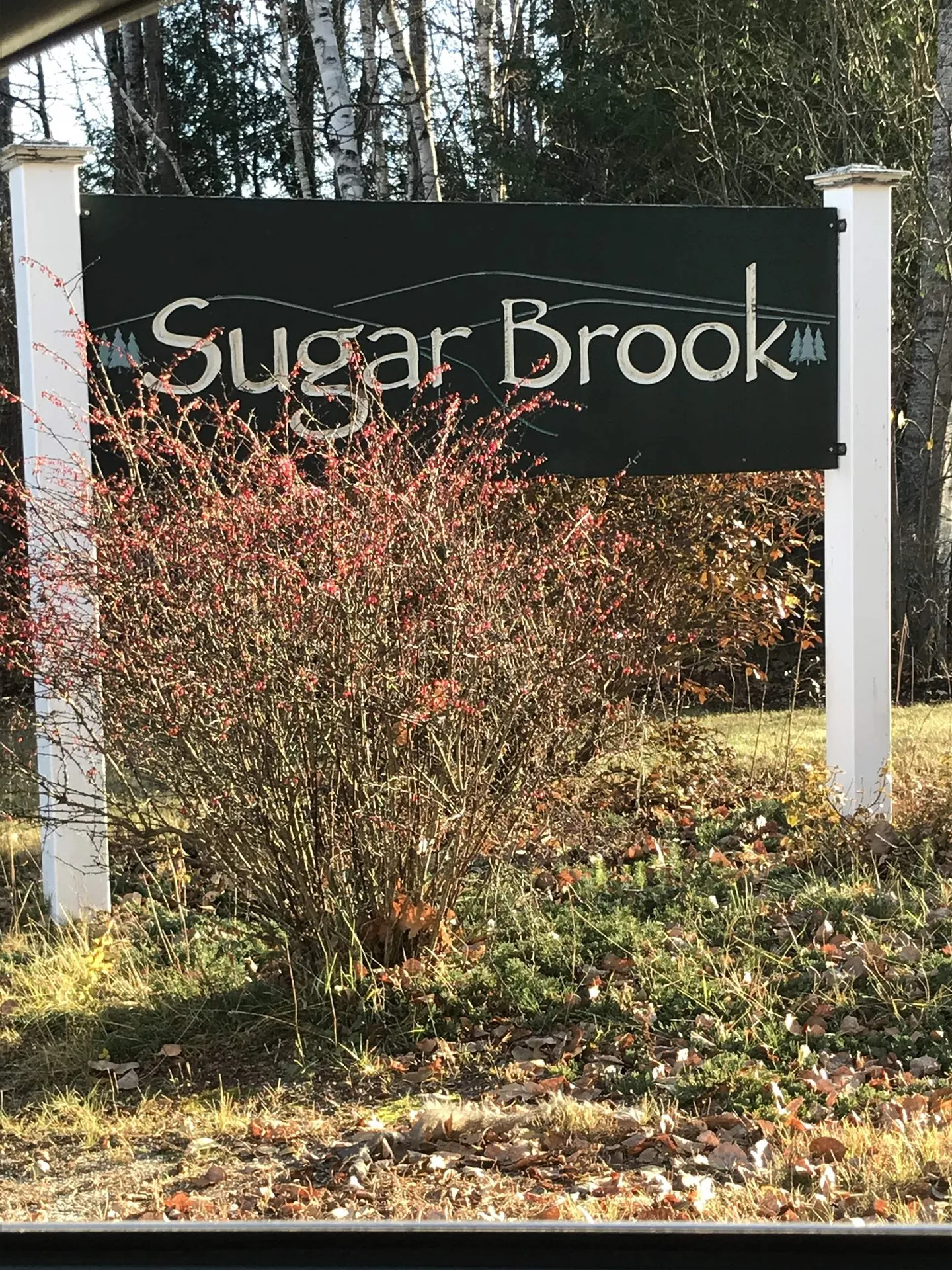 37 Brook View Road Newport NH 03773