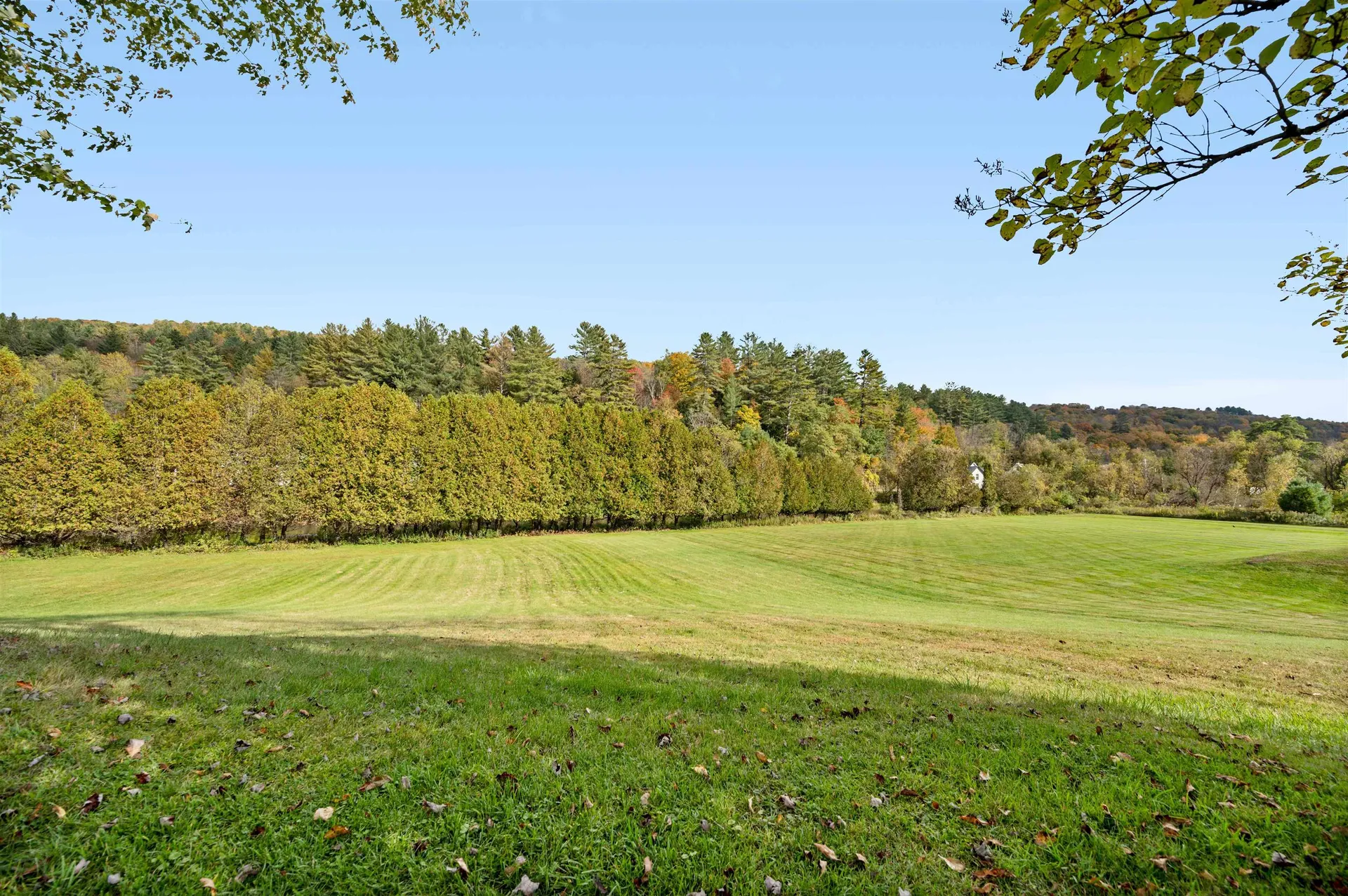 491 Elm Street Montpelier VT 05602