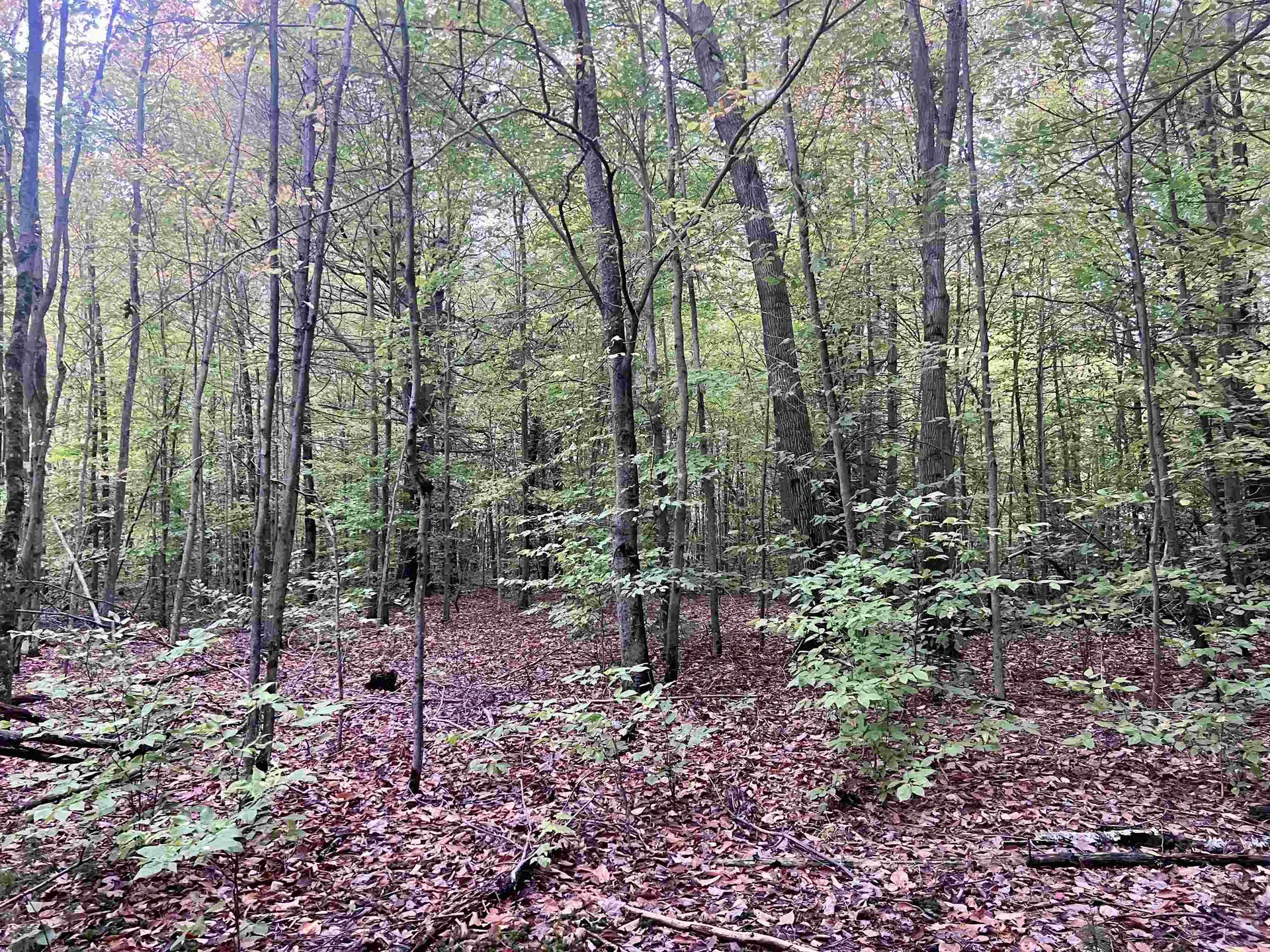 Lots 2,3,4 & 5 Plains Road Westford VT 05494