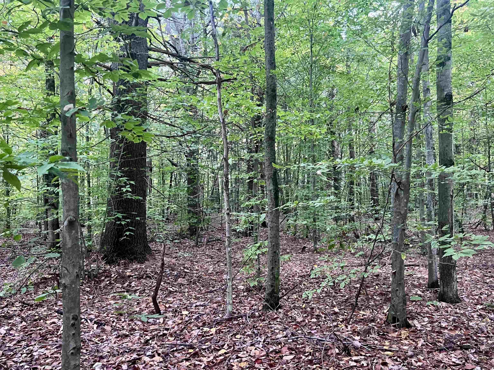 Lots 2,3,4 & 5 Plains Road Westford VT 05494