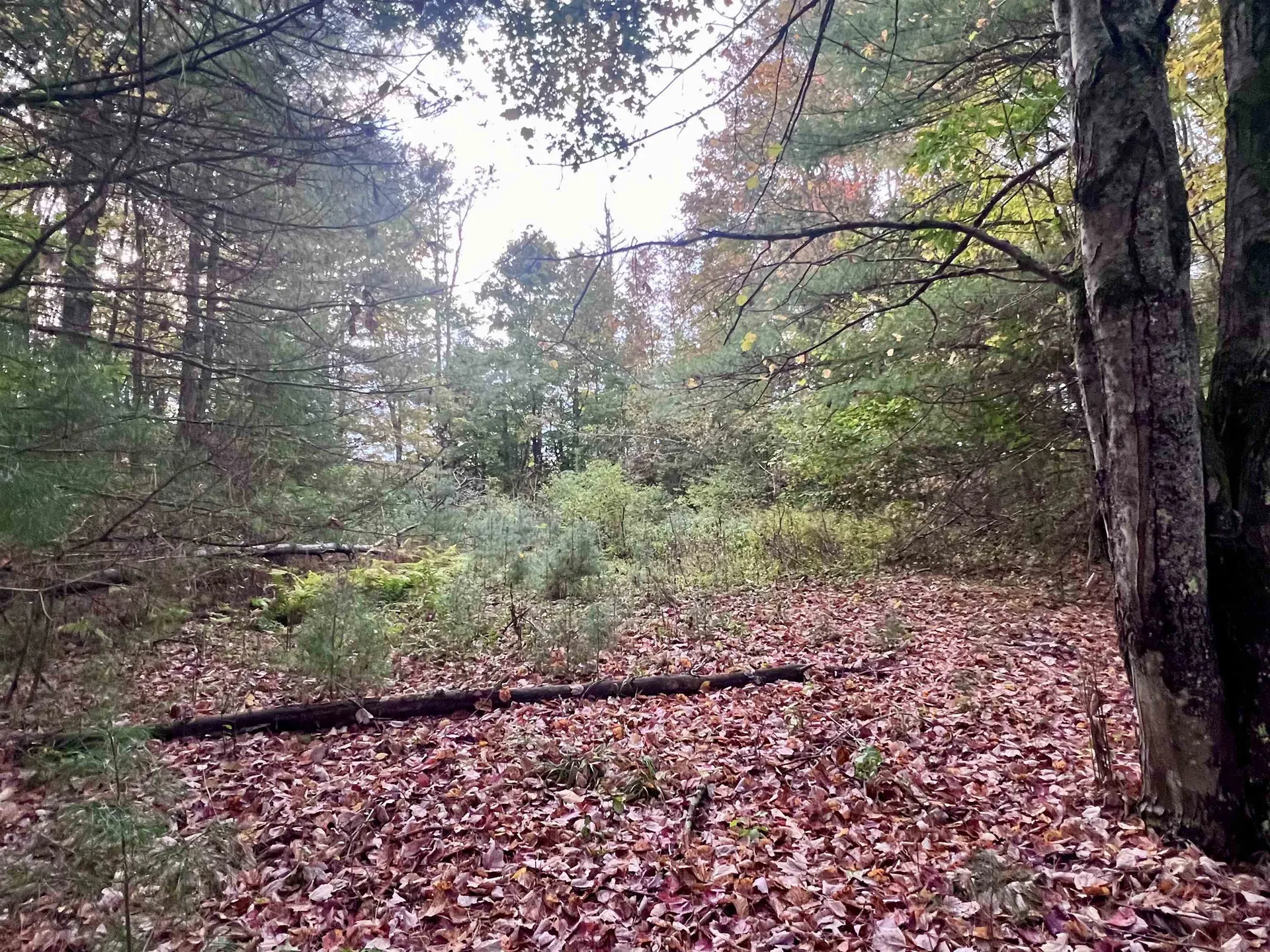 Lots 2,3,4 & 5 Plains Road Westford VT 05494