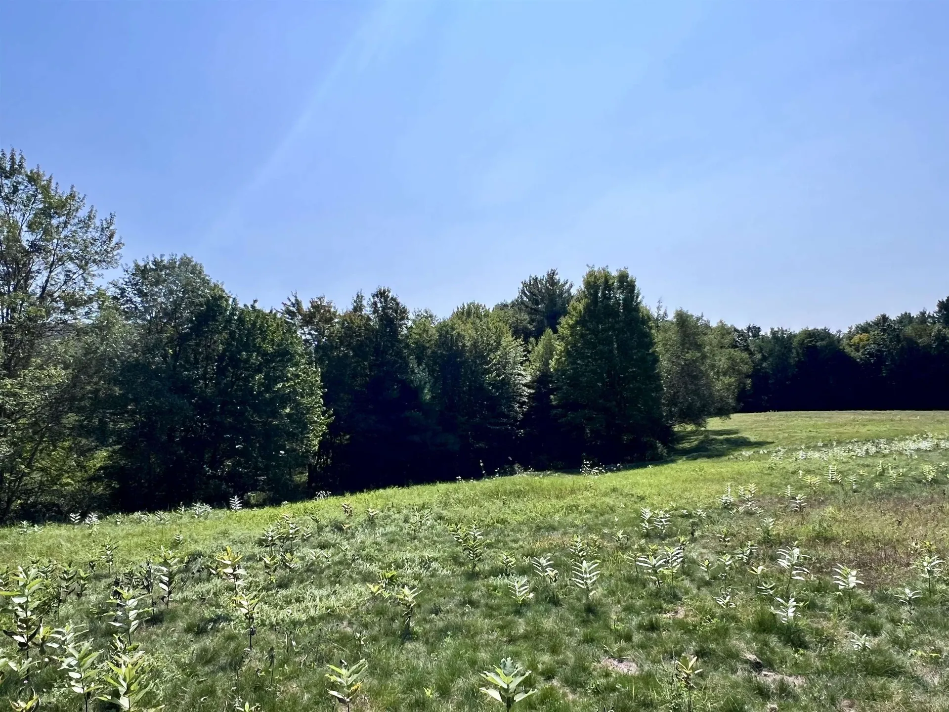 Lots 2,3,4 & 5 Plains Road Westford VT 05494