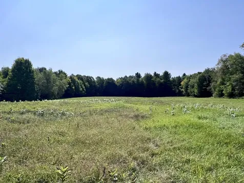 Lots 2,3,4 & 5 Plains Road Westford VT 05494