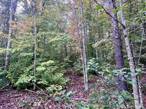Lots 2,3,4 & 5 Plains Road Westford VT 05494