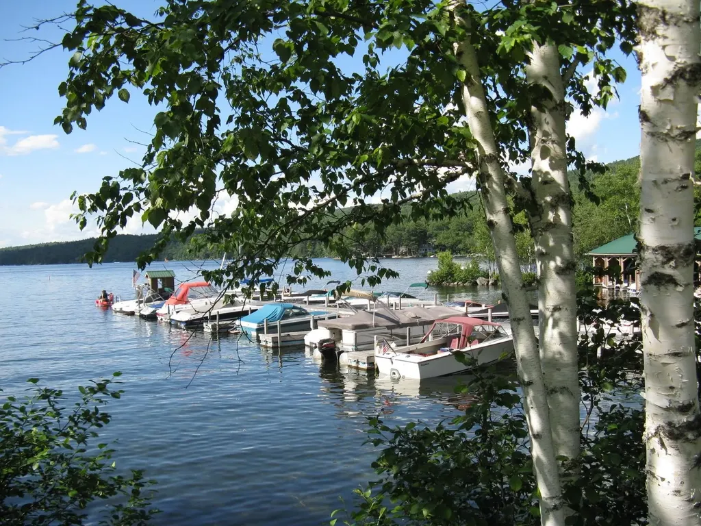 Lot #18 Rollins Road Newbury NH 03255