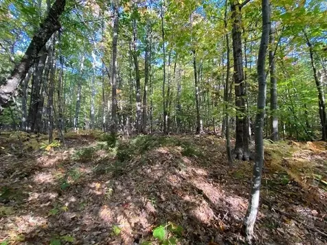 Lot #18 Rollins Road Newbury NH 03255