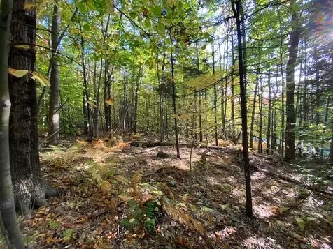 Lot #18 Rollins Road Newbury NH 03255