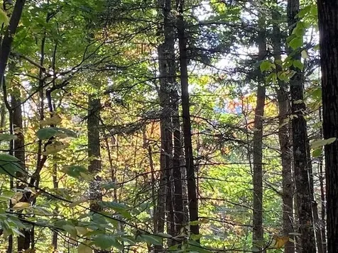 Lot #18 Rollins Road Newbury NH 03255