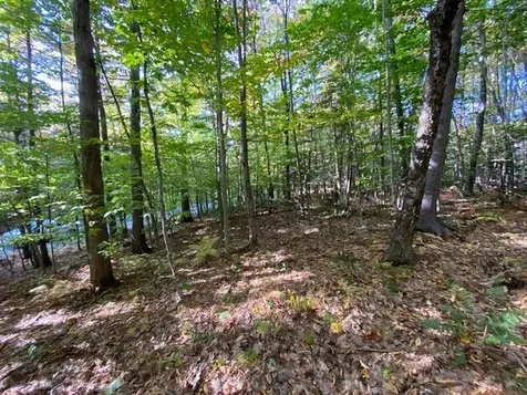 Lot #18 Rollins Road Newbury NH 03255