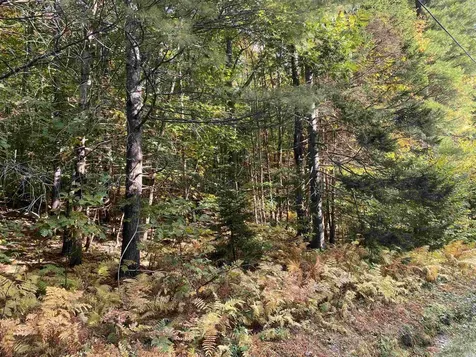 Lot #18 Rollins Road Newbury NH 03255