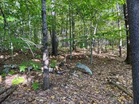 Lot #18 Rollins Road Newbury NH 03255