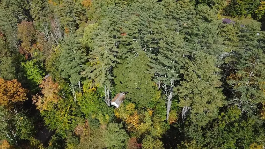 206 Cummings Road Chester VT 05143