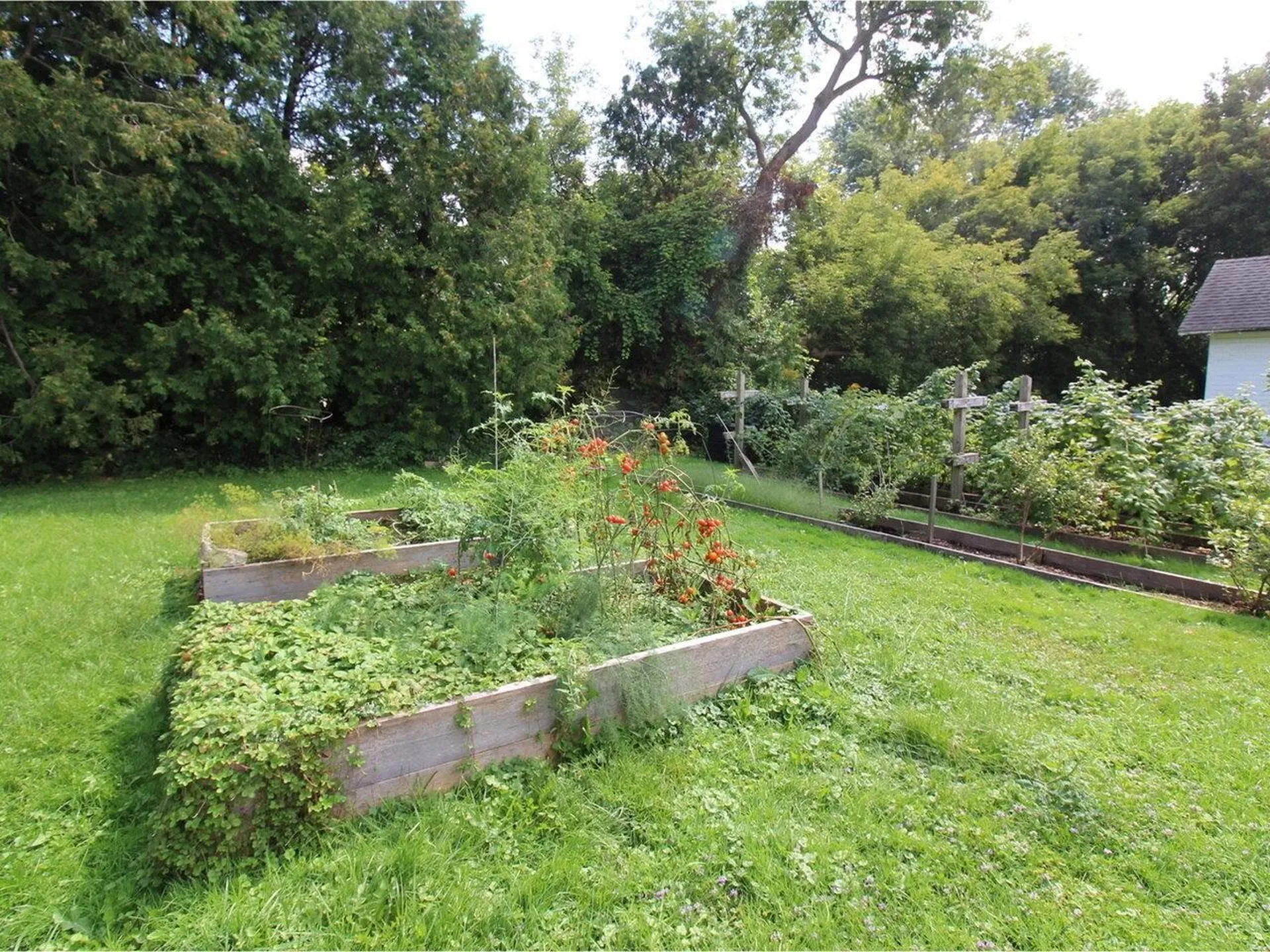 243 Weaver Street Winooski VT 05404