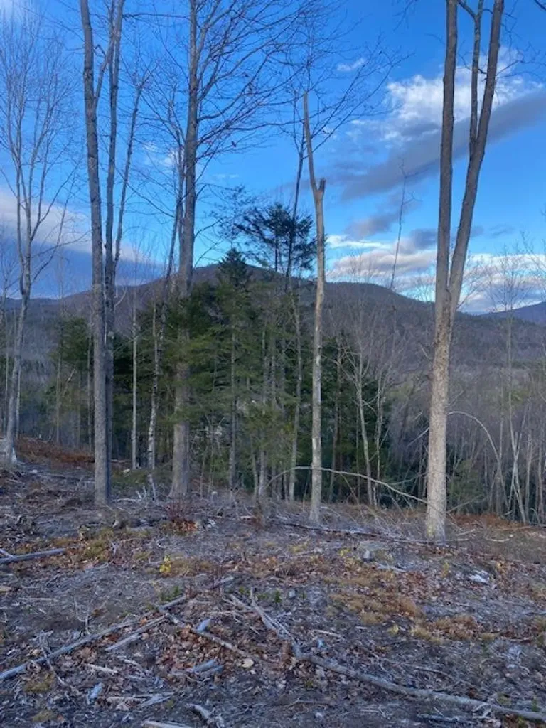 12-12-10-8 Jacob Hall Farm Road Rumney NH 03266