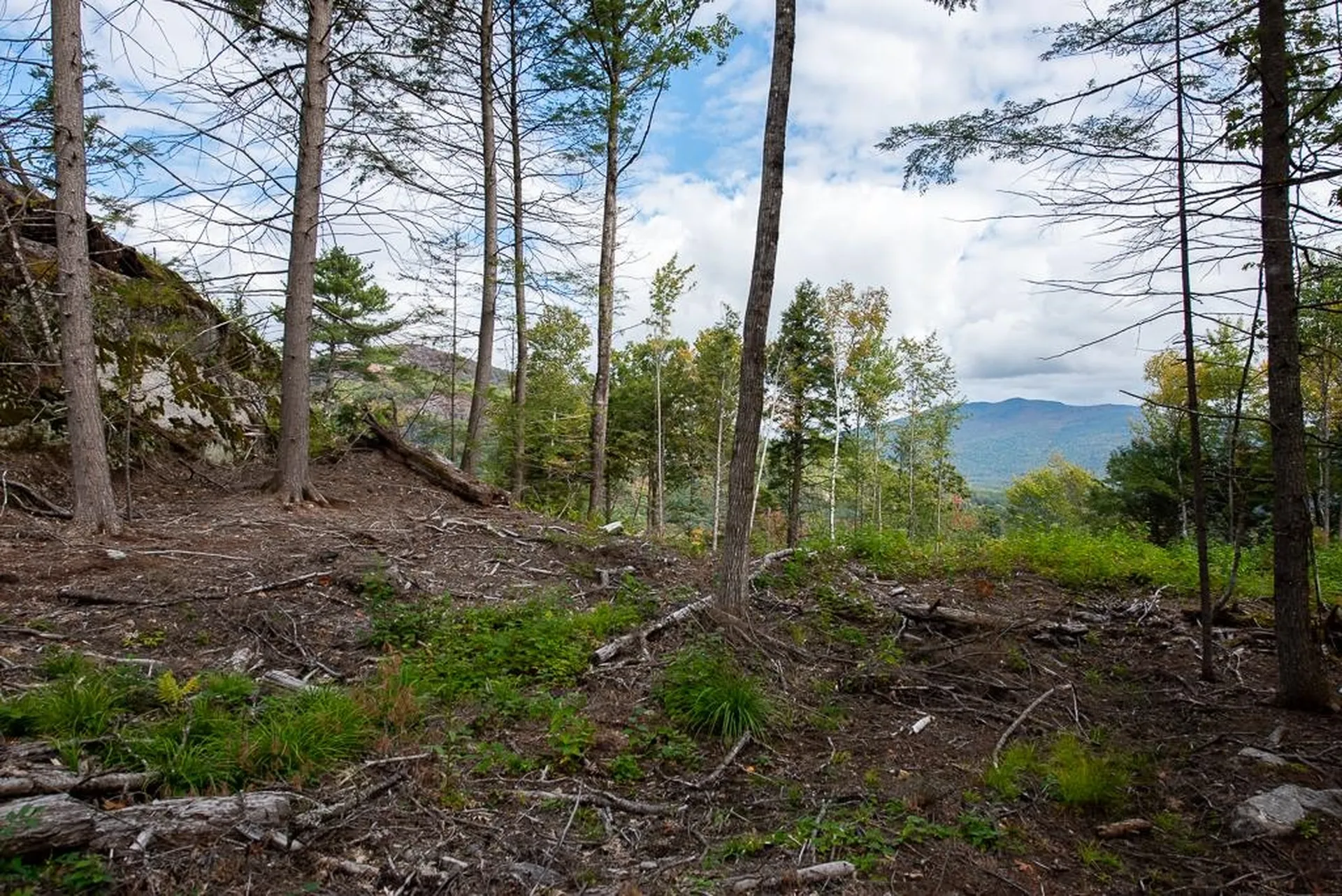 12-12-10-8 Jacob Hall Farm Road Rumney NH 03266