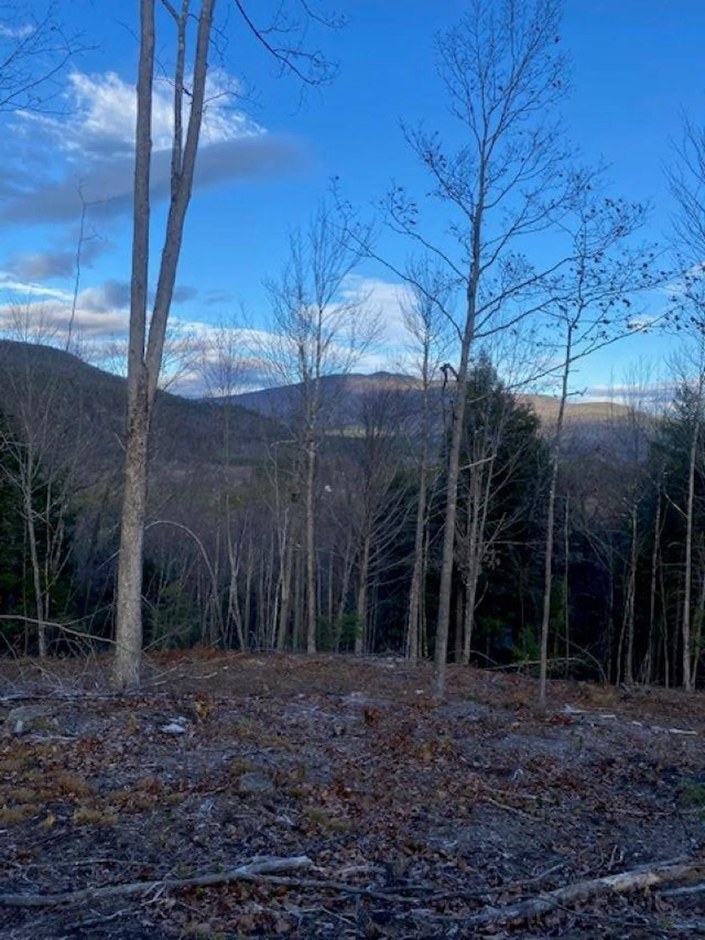 12-12-10-8 Jacob Hall Farm Road Rumney NH 03266