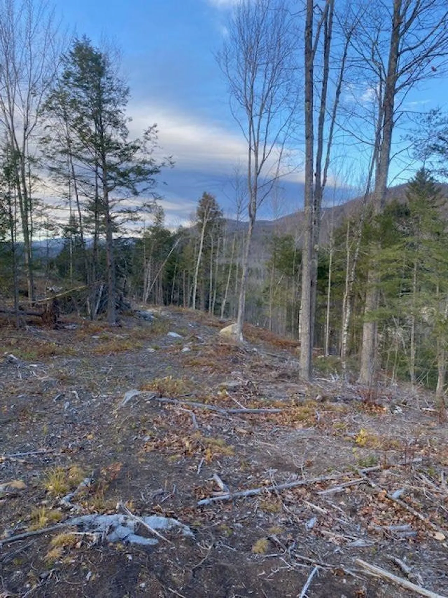 12-12-10-8 Jacob Hall Farm Road Rumney NH 03266