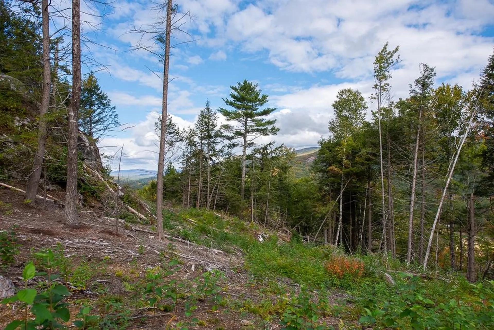 12-12-10-8 Jacob Hall Farm Road Rumney NH 03266